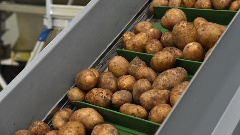 Dārzeņu un augļu pārstrādātājs Kronis vēlas apsaimniekot Milda KM bijušo rūpnīcu