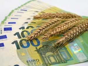 Swedbank nodrošina 65 miljonu eiro finansējumu Linas Agro
