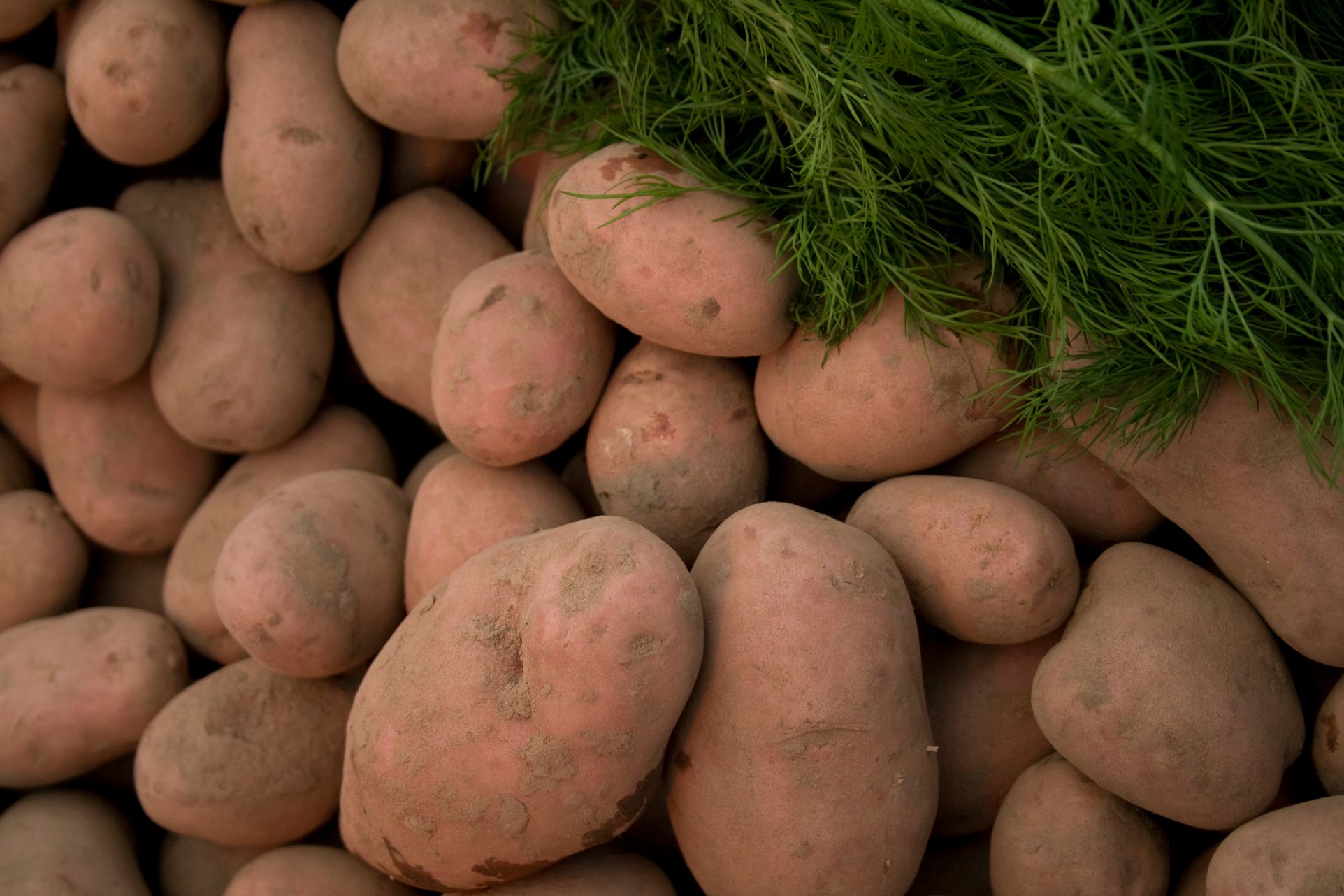 Avots: SXC