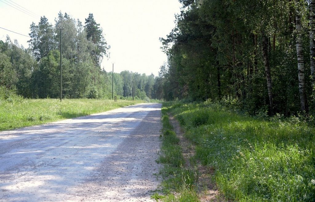 IEVA MAKARE/LETA