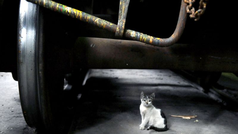 Aizdomu ēna krīt pār Liepājas metalurga pārdošanas godīgumu