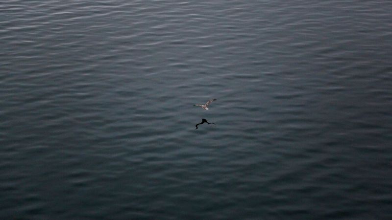 Baltijas jūrā novērots liels naftas plankums