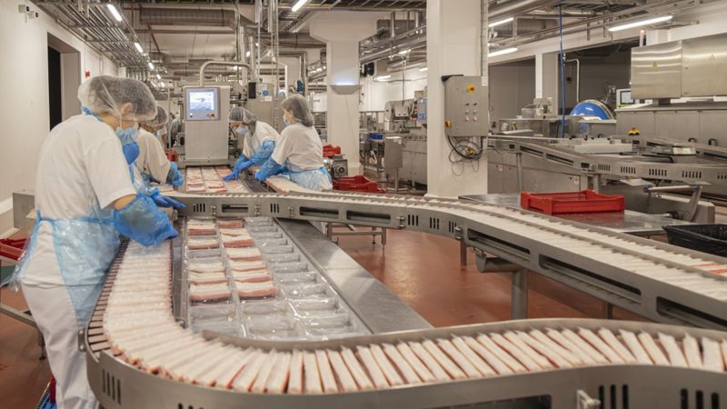 Syfud plāno kāpināt apgrozījumu līdz 50 miljoniem eiro