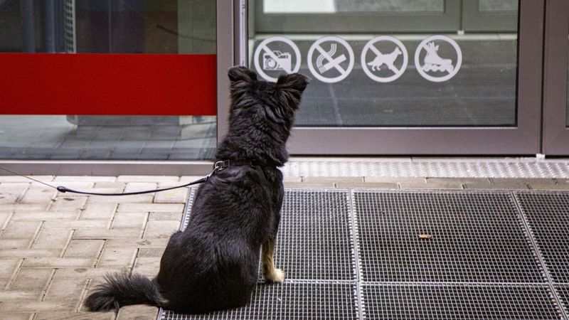 Valdība lems par ierobežojumu pagarināšanu par divām nedēļām
