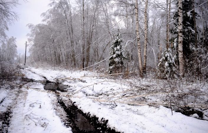 A/s Sadales tīkls uzveicis snieglauzes stihiju