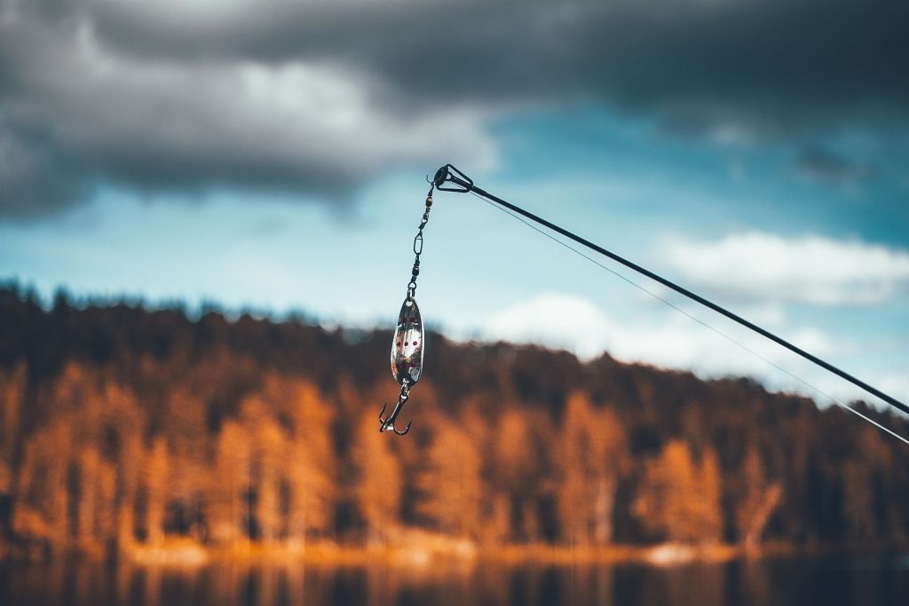 Foto: pixabay.com