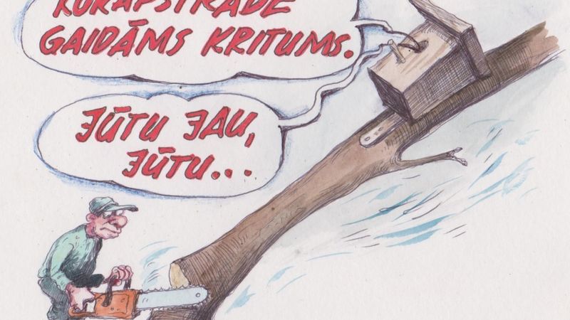DB karikatūra