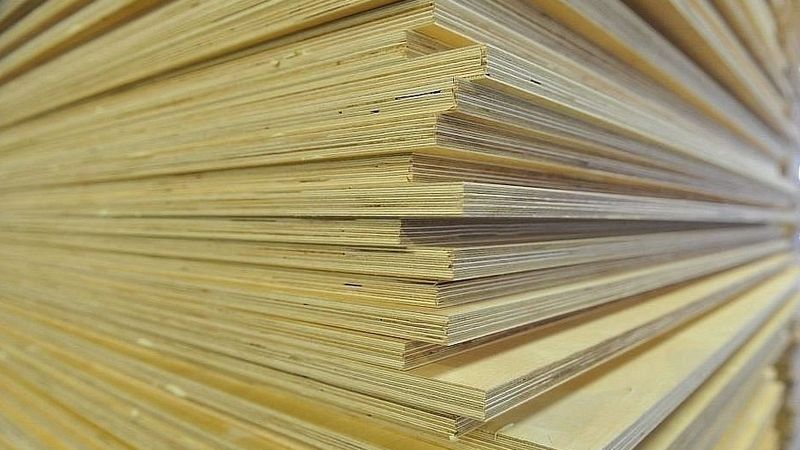 Piemēro 10 000 eiro sodu uzņēmumam par bērza saplākšņa importu