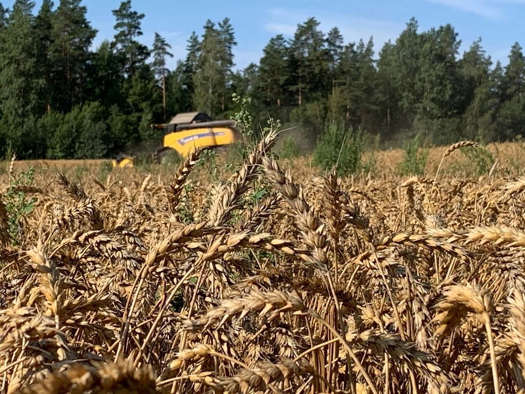 Foto: ILZE ŽAIME