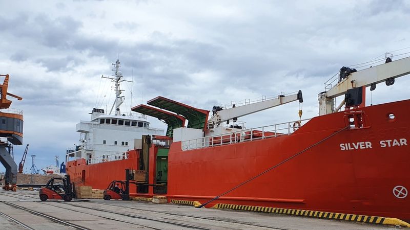 Paver kokmateriālu eksporta iespējas uz Islandi