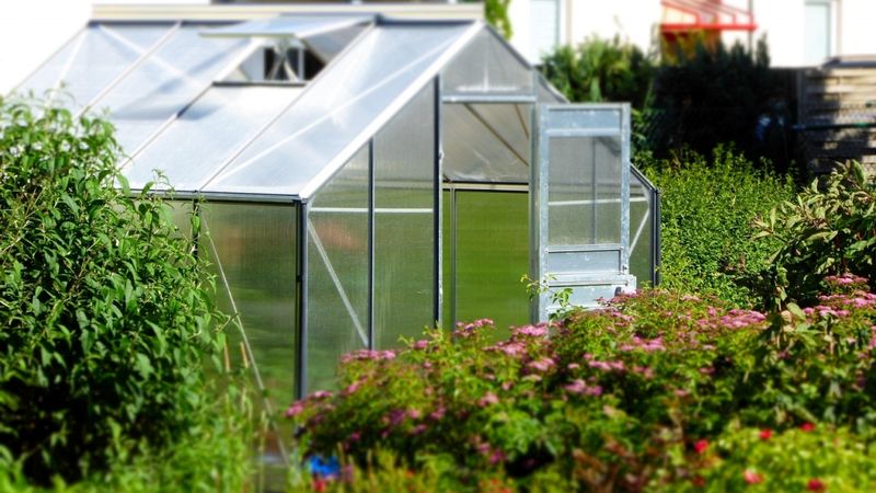Privātmāju īpašniekiem atmaksājas apdrošināt arī dārzu un tā aprīkojumu