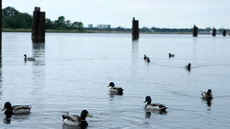 Paredz vairāk būvēt uz ūdeņiem