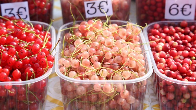 Latvija jūnijā starp 10 ES valstīm ar gada deflāciju