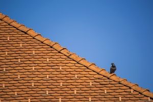 Papildināts - Darījumu skaits nekustamā īpašuma jomā krīt; par eiro ietekmi viedokļi dažādi
