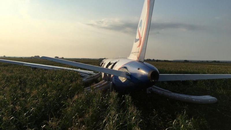 Krievijā pēc putnu iekļūšanas dzinējos lidmašīna ar 233 cilvēkiem nolaižas kukurūzas laukā