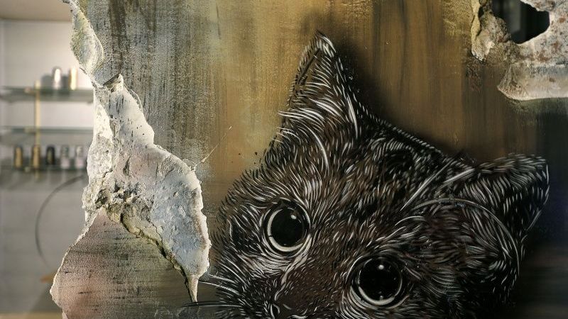 Deviņstāvu blokmāja pārtapusi par grafiti megaprojektu