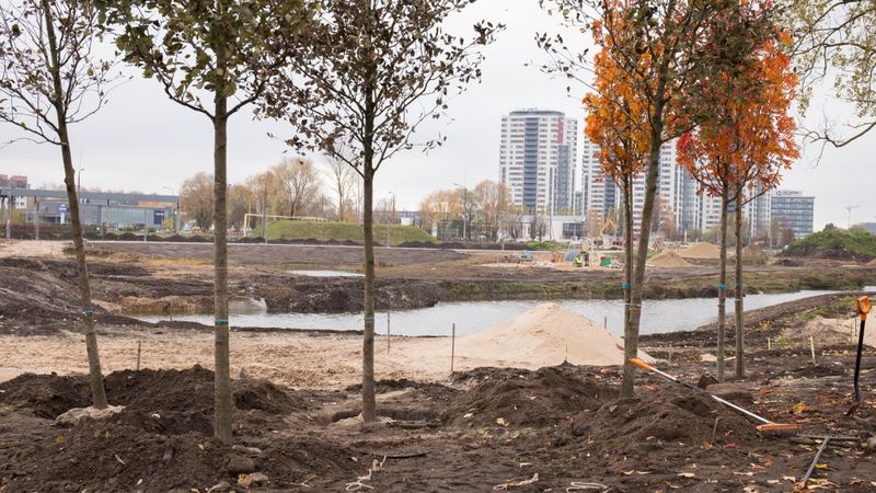 17 miljonus eiro vērtās revitalizācijas ietvaros Skanstes apkaimē sākta koku stādīšana