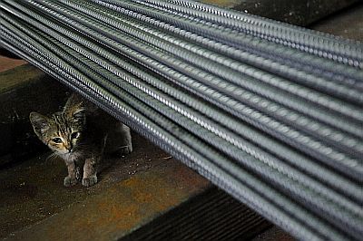 Padziļinātu finanšu analīzi Liepājas metalurgā veiks Ernst & Young Baltic