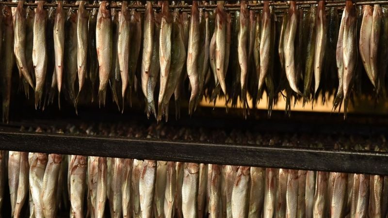 Sākta Liepājas zivju pārstrādes uzņēmuma Kolumbija LTD likvidācija