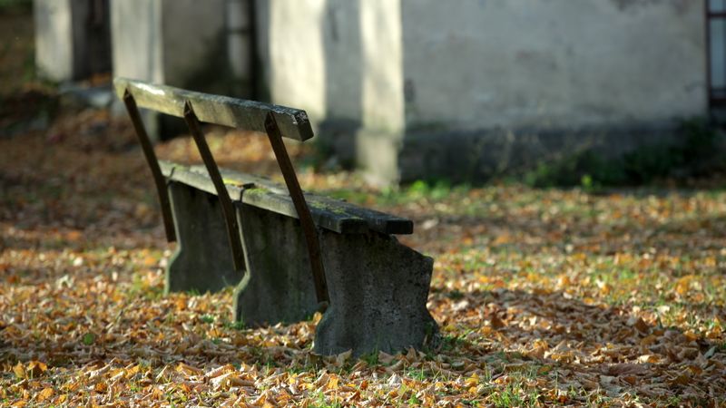 Investors: Vēlo rudeni un ziemu tirgus dalībnieki gaida ar lielām cerībām