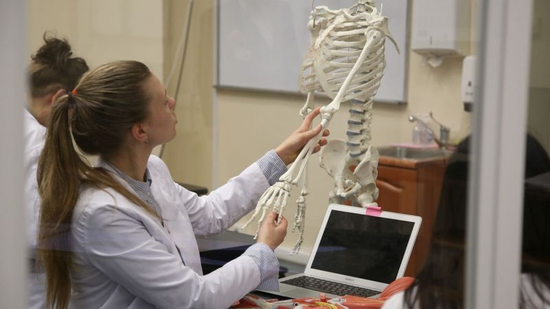 Joprojām vairums jauno studentu vēlas apgūt sociālās un humanitārās zinātnes