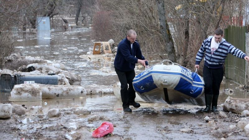 Papildināta fotogalerija - Plūdu dēļ vairāki ogrēnieši iesprostoti savās mājās; pa ielām peld bebri