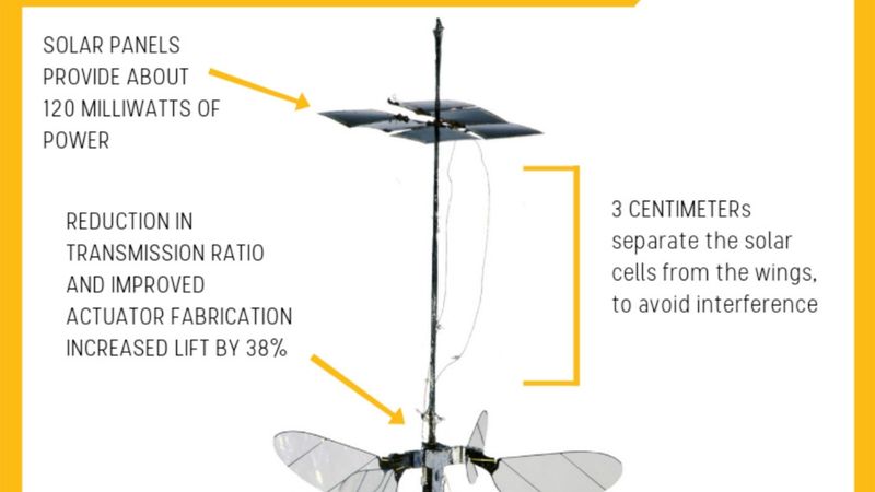 Robots - bite beidzot paceļas spārnos