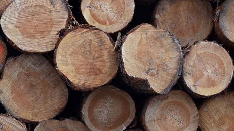 Metsä Group pabeidz koksnes piegādes biznesa pārdošanu Latvijā