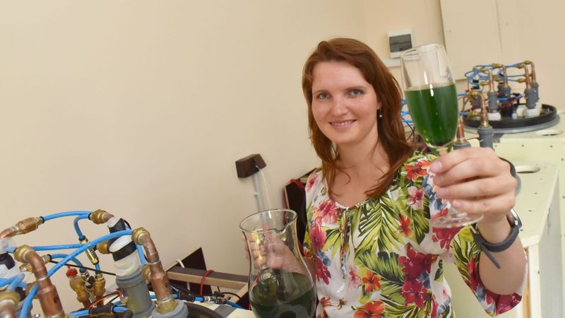 Rīgā spirulīna aug tikpat laimīga kā Āfrikā