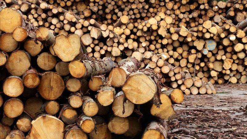 Atjaunīgo energoresursu patēriņš pērn samazinājās par 4,5 %