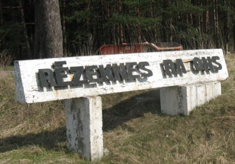 Ritvars Skuja, Dienas Mediji