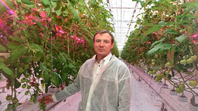 Latgales dārzeņu loģistika siltumnīcu kompleksa paplašināšanā plāno ieguldīt trīs miljonus eiro