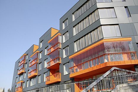 Vitālijs Stīpnieks, Dienas Mediji